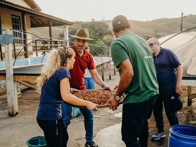 Produce Sorting & Post-Harvest Processing Assistant